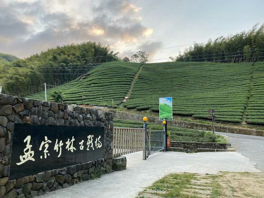 孟宗竹林古戰場
